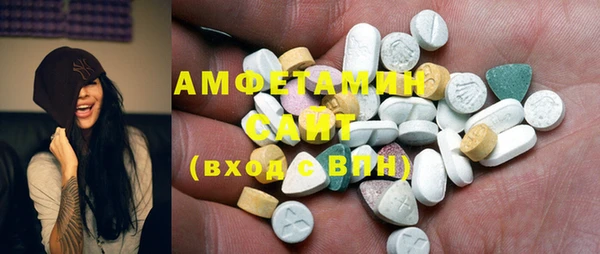 ECSTASY Богородицк